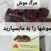 لوازم جانبی مرگ موش سم موش