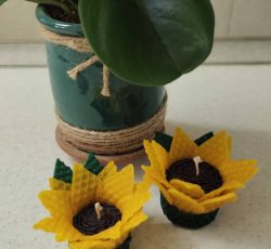 شمع گل آفتابگردان