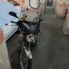 باکسر در حدنو