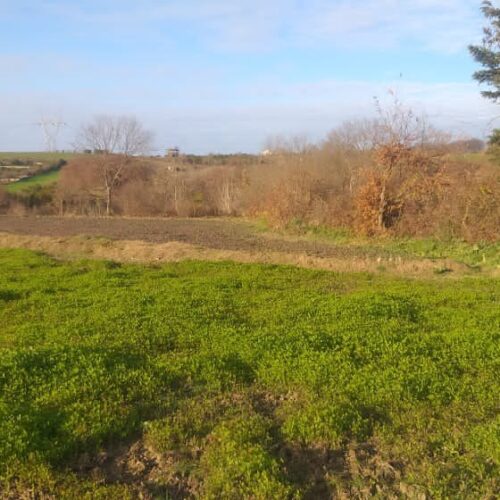 فروش زمین در استان مازندران (ساری)