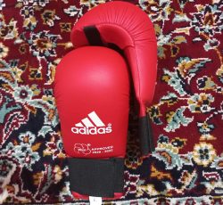 دستکش کاراته _ سایز L