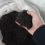 چای سیاه قلم لیزری