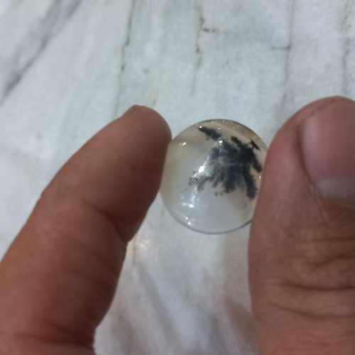 شجر ناب قائنات تک
