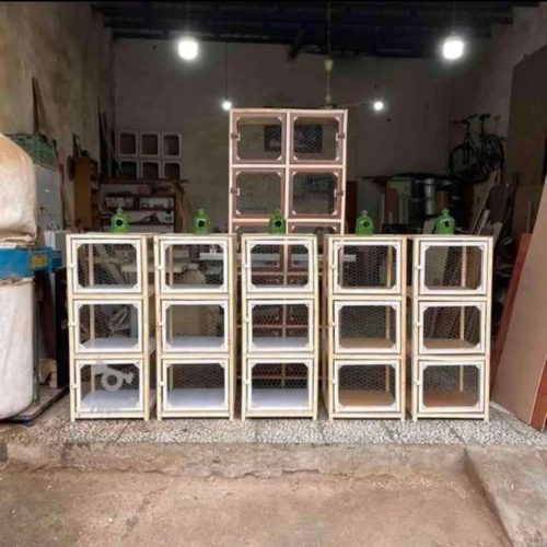 فروش جفت کن کبوتر