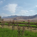 *با خریدی مطمئن، آینده ی یک نسل خود را تضمین کنید*
