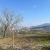 فروش زمین کشاورزی وویلایی باغی