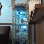 بوفه برنج در حد نو طاووس