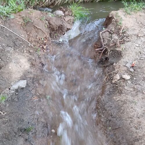 فروش زمین مناسب باغ