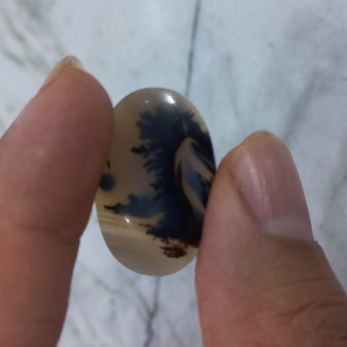 نگین شجر فوق کلکسیونی