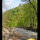 اجاره کلبه و ویلاجنگلی