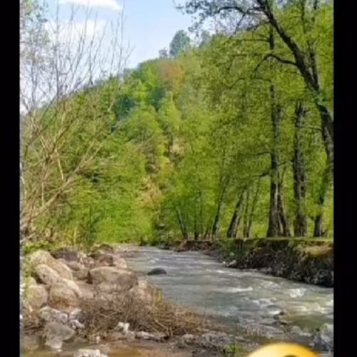 اجاره کلبه و ویلاجنگلی