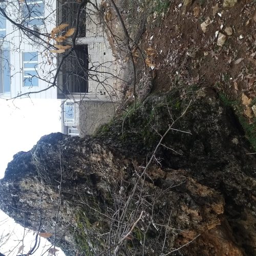 زمین مسکونی شاخی جو