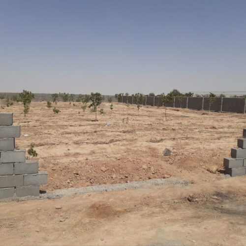 زمین 45000 متر سند شش دانگ اول ایوانکی