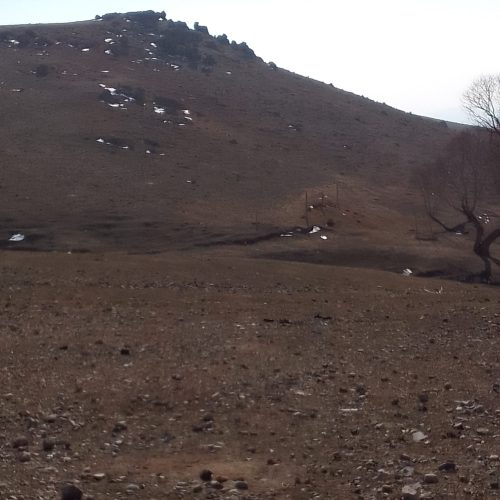 کارگر داربست فلزی