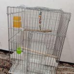 یک عدد قفس کاسکویی با وسایل
