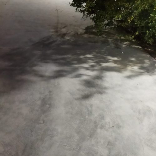 سوئیت شیک