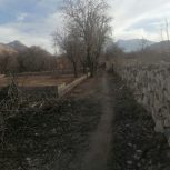 زمین