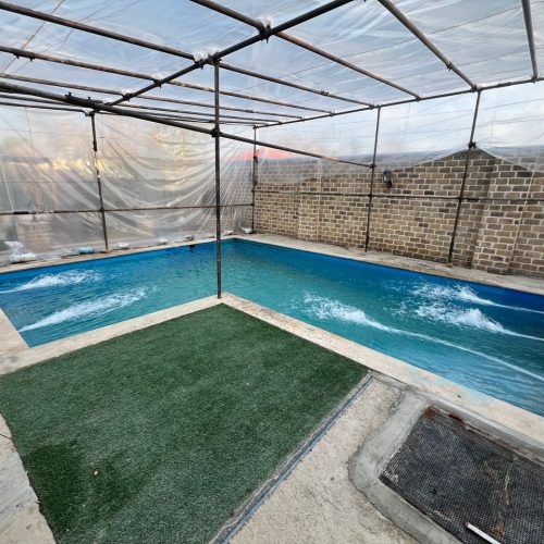 اجاره کوتا مدت ویلا باغ