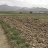 فروش زمین مناسب باغ