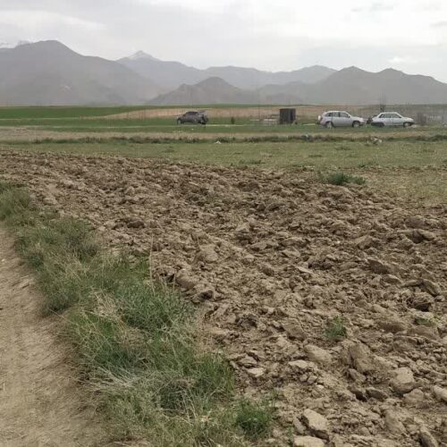 فروش زمین مناسب باغ