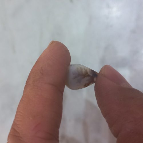 شجر قائنات اشکی تک درخت فوق کلکسیونی