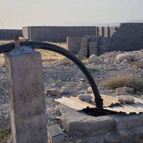 گاوداری