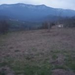 فروش زمین کشاورزی وویلایی باغی