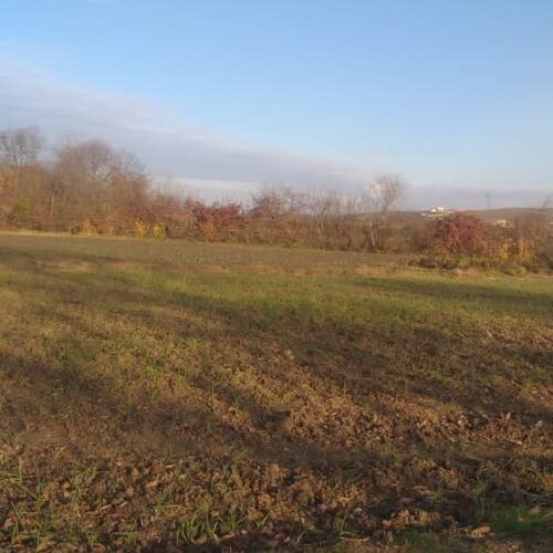 فروش زمین در استان مازندران (ساری)