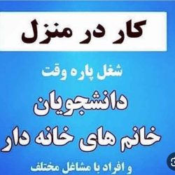 کار برای بانوان خانه دار