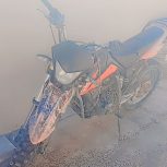 موتورتلرگولدپیشرو250