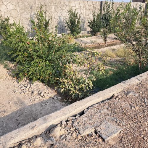 باغ چهاردیواری