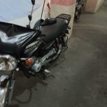 باکسر در حدنو