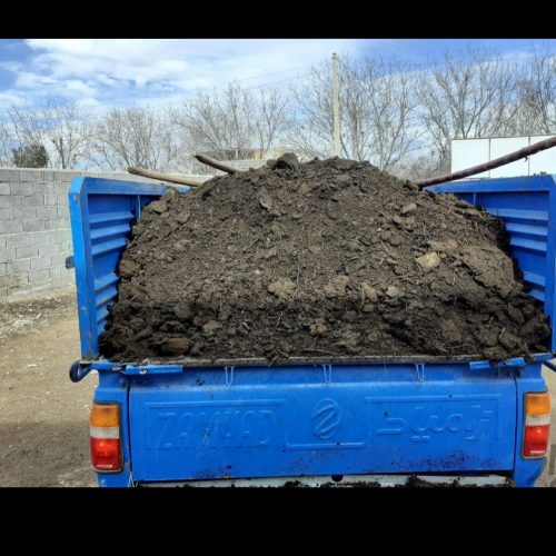 کود حیوانی کوسفندی