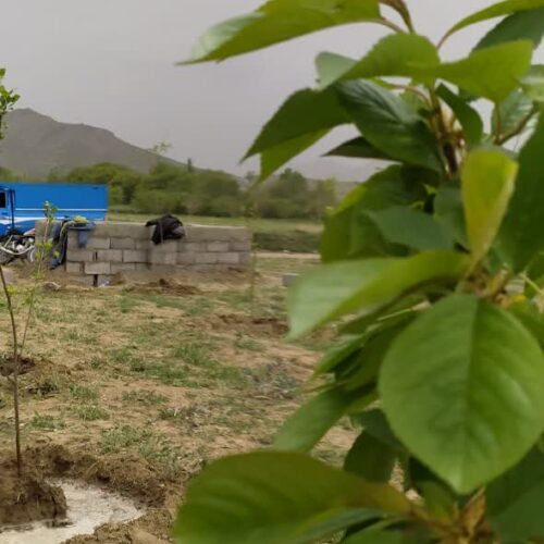 فروش زمین مناسب باغ