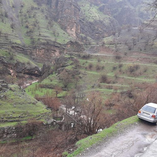 ویلا باغ* پاوه*روستای دشه*جاده سراب هانی کوان