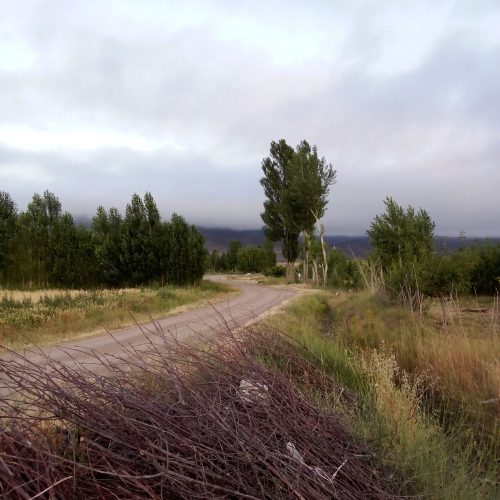 باغ در متراژ دلخواه