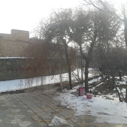 باغ با انواع درختان میوه