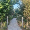اجاره کوتا مدت ویلا باغ