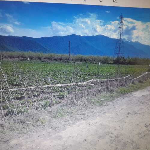 زمین کشاورزی  2هکتاری سندی و دارای اب