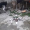 تعدای کبوتر فروشی