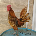 خروس سبرایت