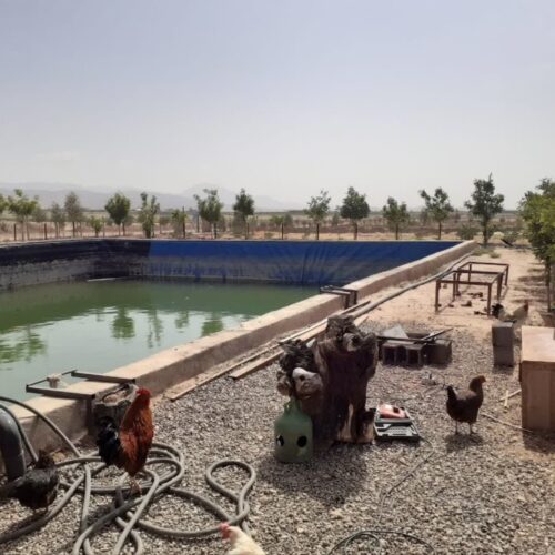 زمین 45000 متر سند شش دانگ اول ایوانکی