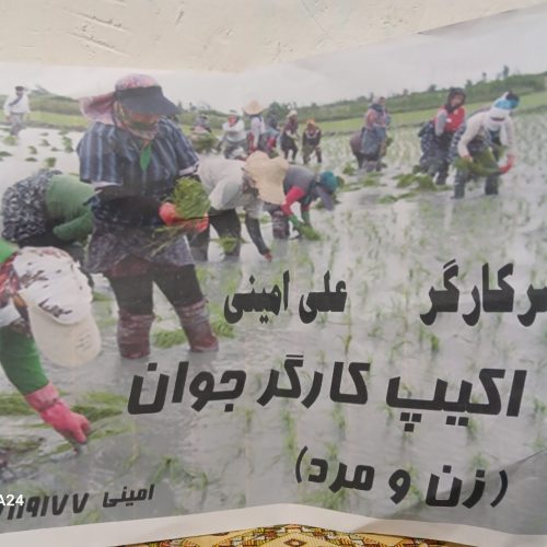 سرکارگر تخصص باغ