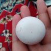 سنگ آسیاب