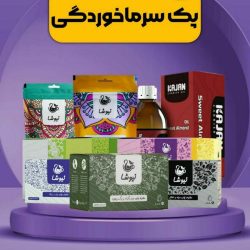 کار برای بانوان خانه دار