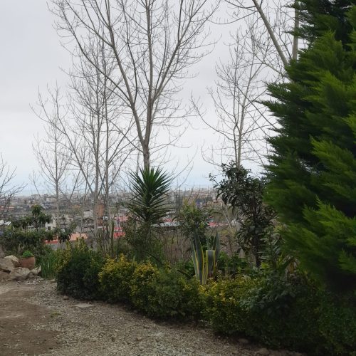 ویلای دریا سر با استخر و جکوزی