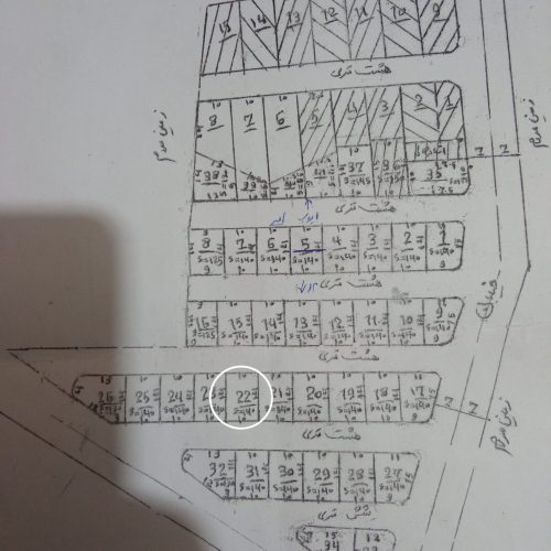 زمین مسکونی شاخی جو