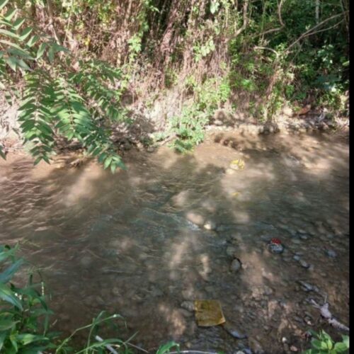 فروش باغ در کنار رودخانه