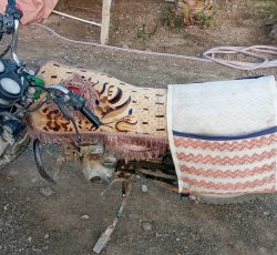 احسان شکاری