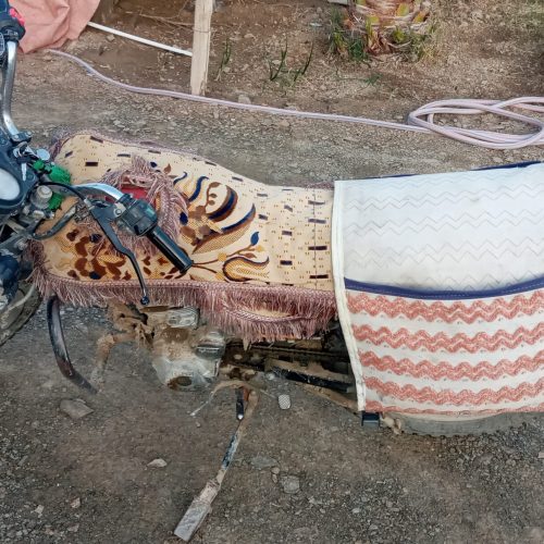 احسان شکاری